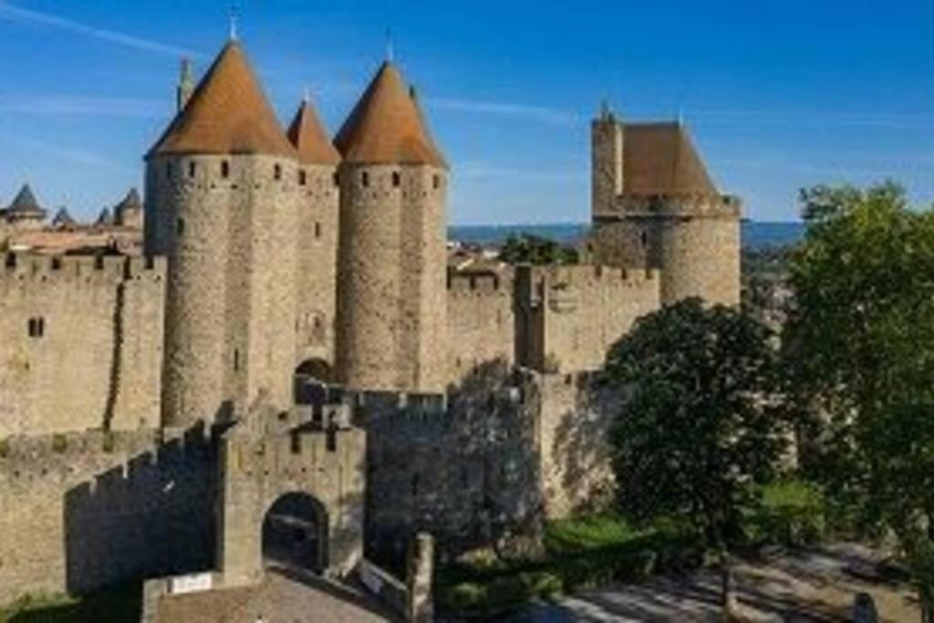 Spacieux Appartement Au Pied De La Cite Medievale Carcassonne Exterior foto